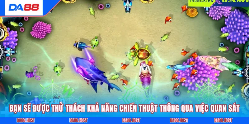 Bạn sẽ được thử thách khả năng chiến thuật thông qua việc quan sát